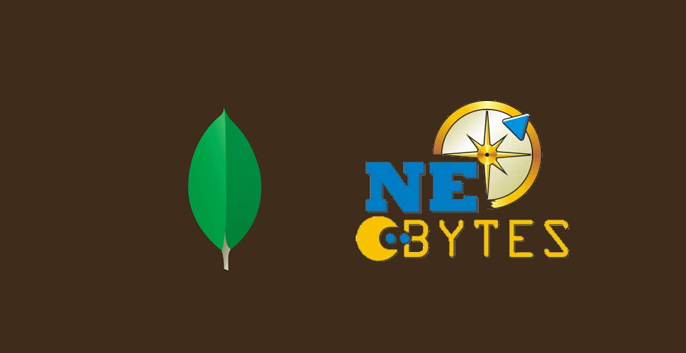 NE Bytes - A more flexible way to store your data with MongoDB